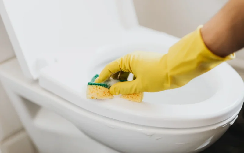 Plumber detecting hidden water leaks with professional tools